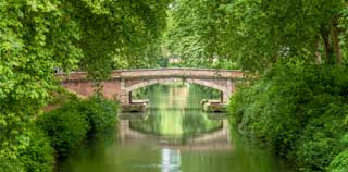 Alerte Pollen Toulouse : Taux et Prévisions en Temps Réel